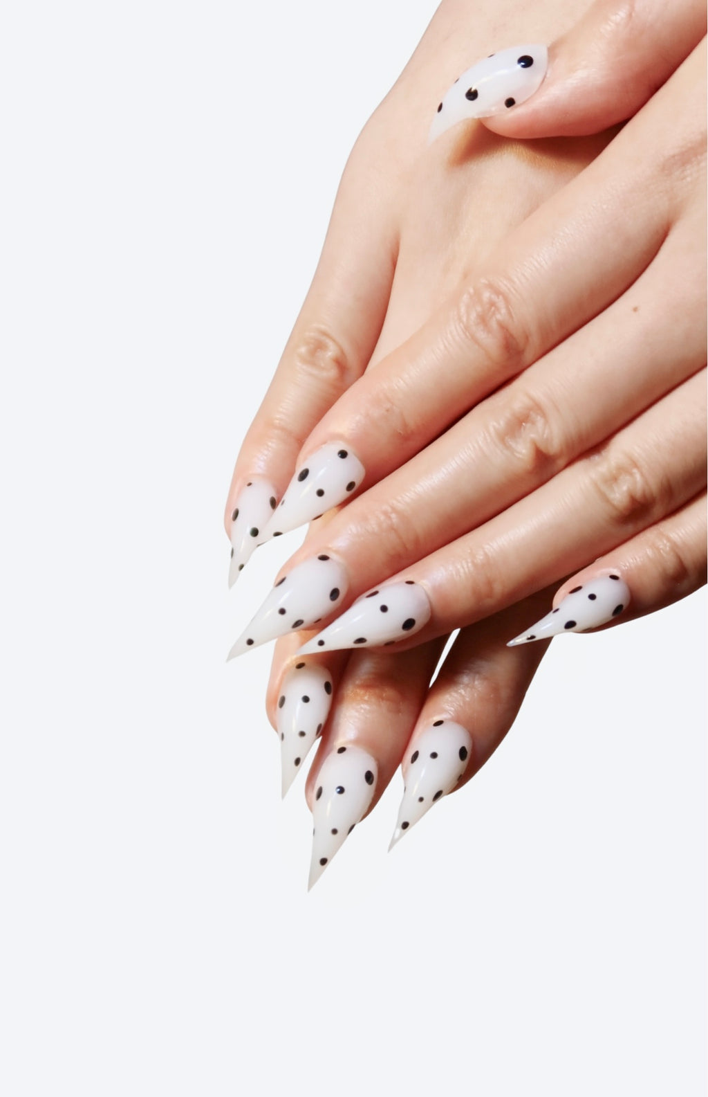 The Meow Collection: White with Black Polka
