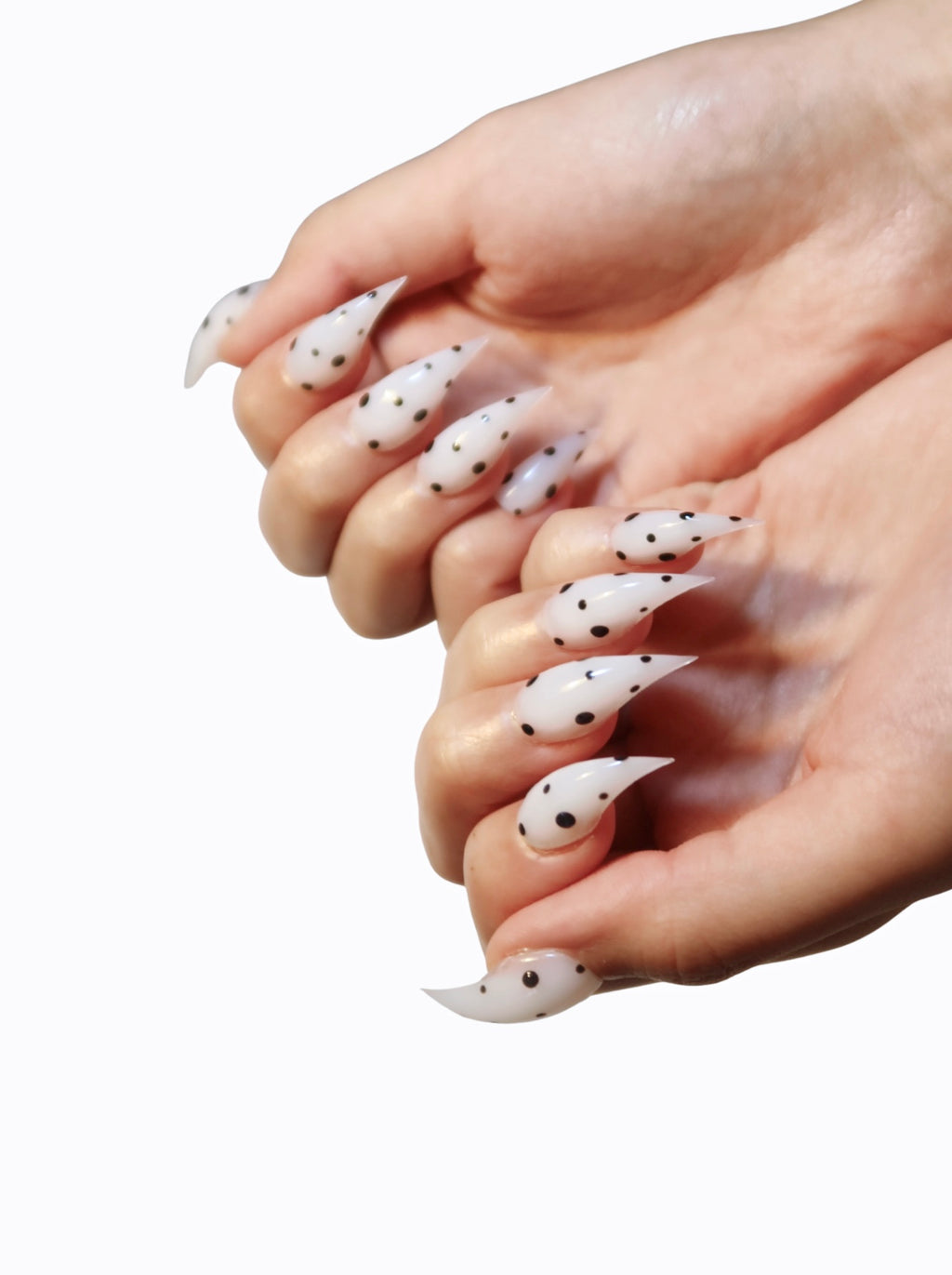 The Meow Collection: White with Black Polka